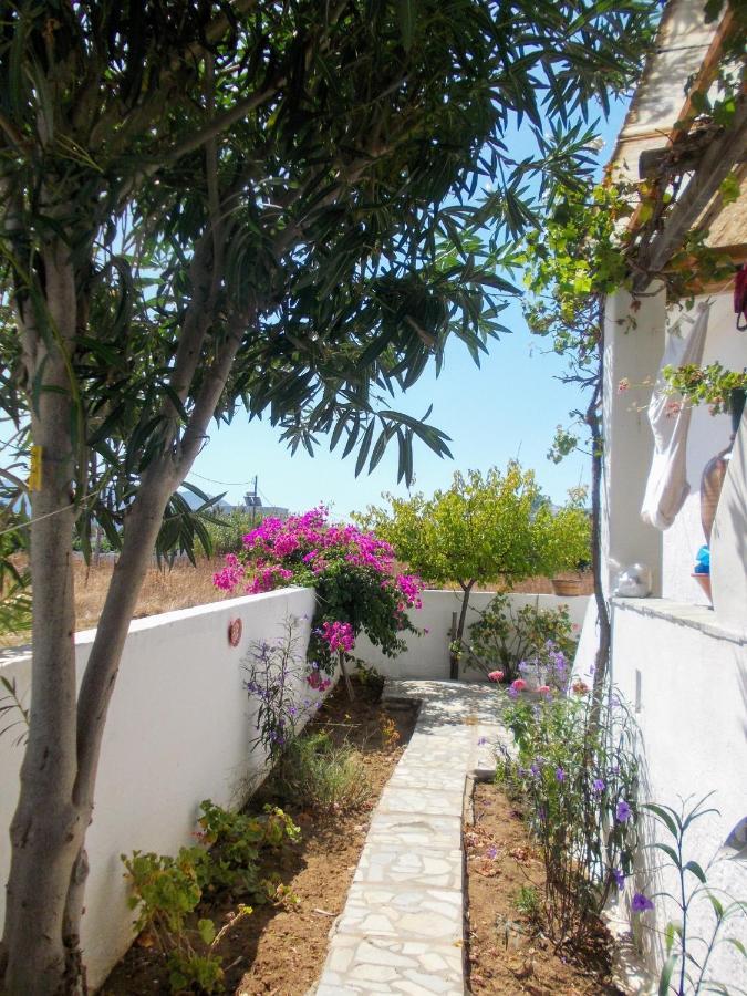 Nyfes Traditional Boutique Faltaina Skyros Esterno foto