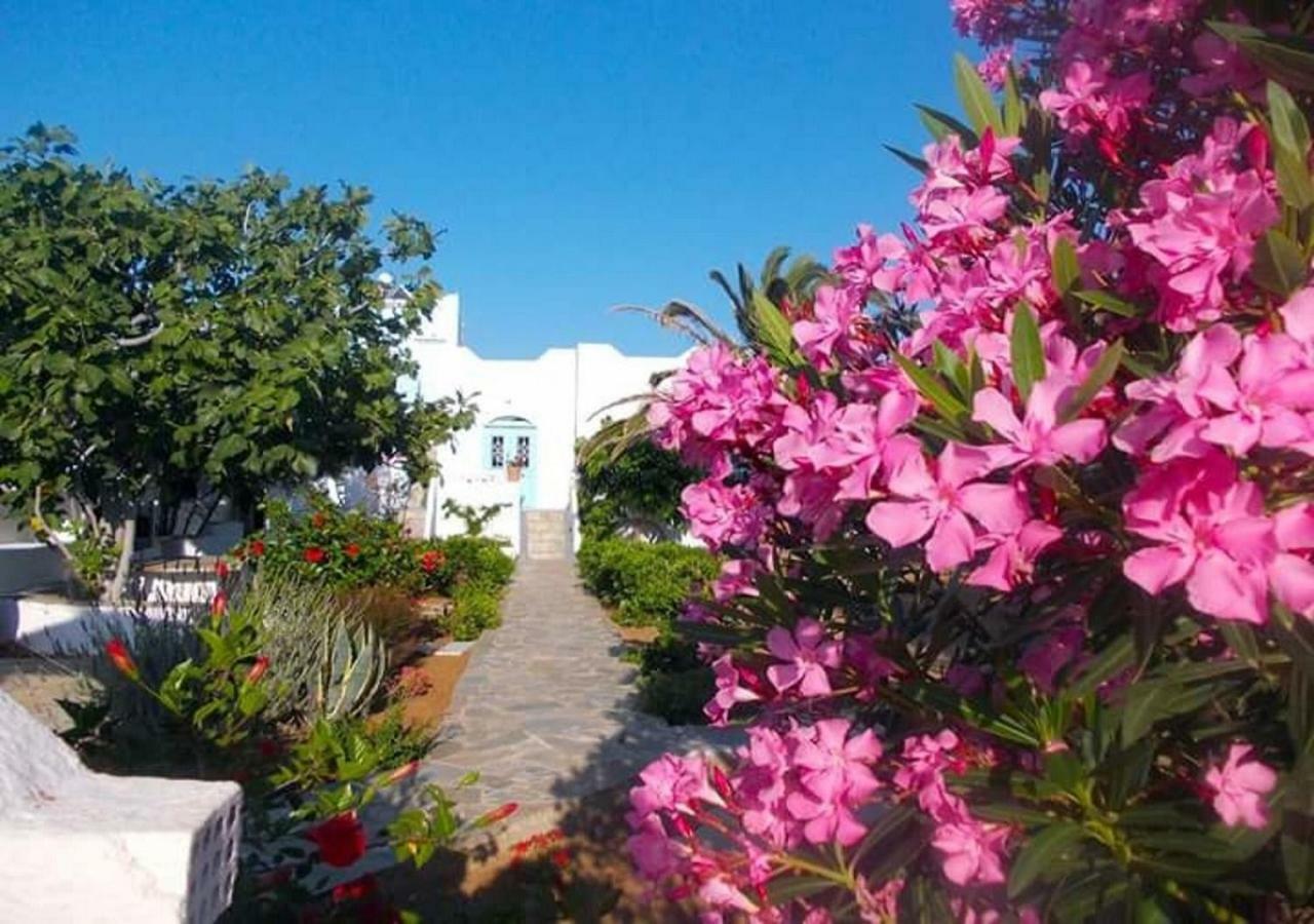 Nyfes Traditional Boutique Faltaina Skyros Esterno foto